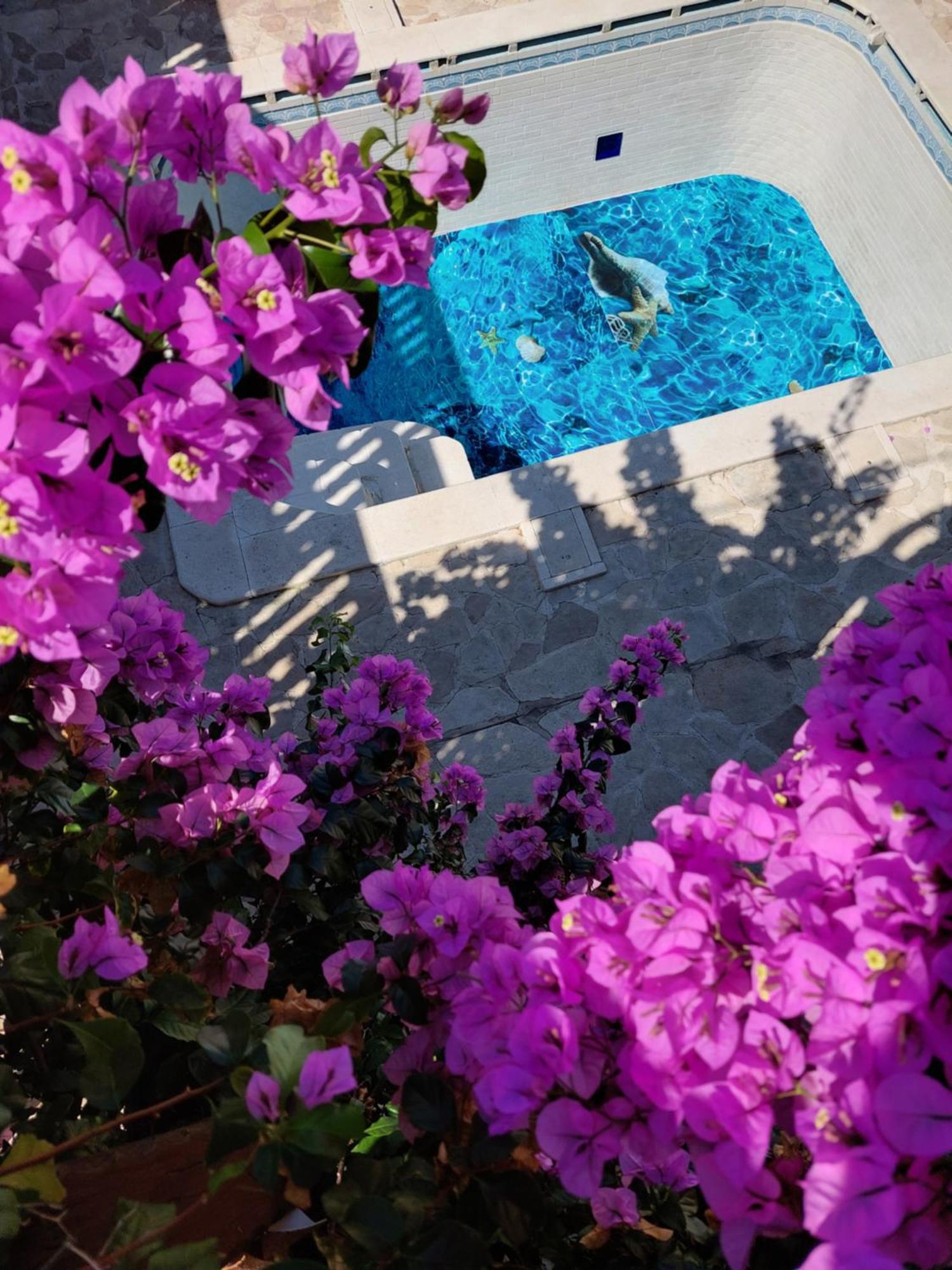 Studios Villa Romantica ซาดาร์ ภายนอก รูปภาพ